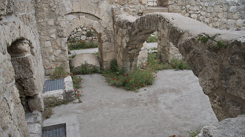 February 2 - Cardo, Southern Steps, Western Wall, Pool of Bethesda, Antonia Fortress, Via Dolorosa