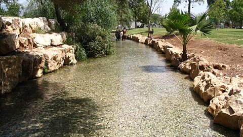 May 18 – Jordan River, Gideon’s Spring (Maayan Harod), Bet She’an & Camel Ride Experience