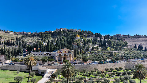 Nov. 26 – Mount of Olives, Palm Sunday Road, Gethsemane, Bethlehem