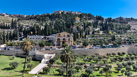 June 9 – Mount of Olives | Palm Sunday Road | Garden  of Gethsemane | Upper Room | House of Caiaphas  |Shepherds’ Field
