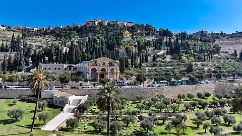 November 23 – Mount of Olives, Palm Sunday Road, Gethsemane, Bethlehem
