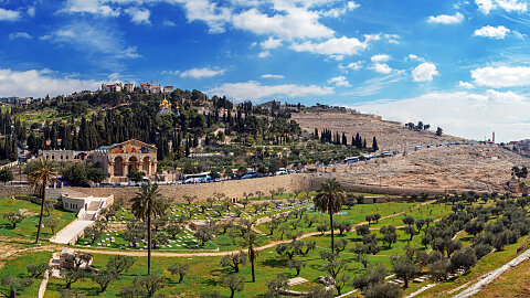 February 24 – Mount of Olives, Palm Sunday Road, Garden of Gethsemane, Mount Zion, House of Caiaphas, Upper Room, King David's Tomb, Western Wall, Davidson Center - Southern Wall Steps