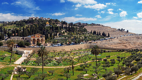 May 18 – Mount of Olives, Palm Sunday Road, Garden of Gethsemane, Bethlehem (Shepherds’ Field)