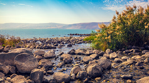 May 16 – Sea of Galilee / Capernaum / Mount of Beatitudes / Tabgha / Boat Ride / Jordan River
