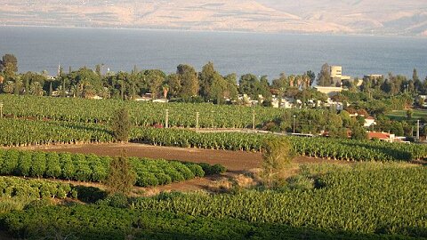 February 29 – Jesus in the Galilee