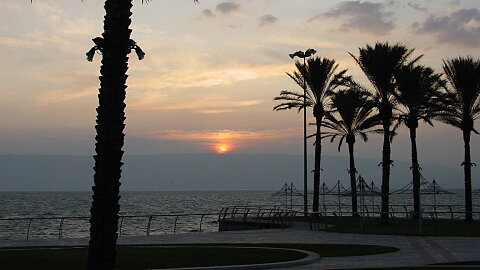 Day 7 – Sunday, March 10, 2024: Tel Aviv to Galilee
